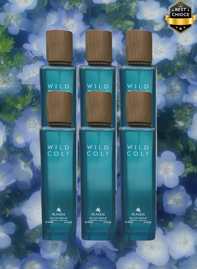 ELFARIS 6 Pieces Wild Colt Perfume For Men 200ml EDP - Image 1