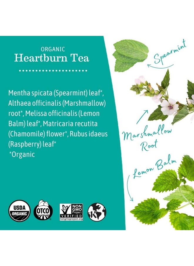 Earth Mama Earth Mama Organic Heartburn Tea | Pregnancy-Safe Soothing Herbal Blend with Marshmallow Root, Lemon Balm & Chamomile, 16 Teabags Per Box (6-Pack)  - Image 4