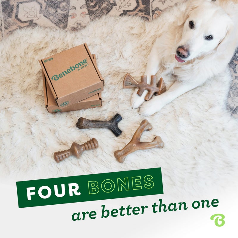 Benebone Large 4-Pack Dog Chew Toys for Aggressive Chewers, Made in USA, 90lbs and Under - Image 4