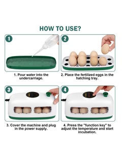 Generic Mini Egg Incubator for 8 Eggs with Humidity and Temperature Control for Hatching Chickens Quails Ducks and Birds  - Image 3