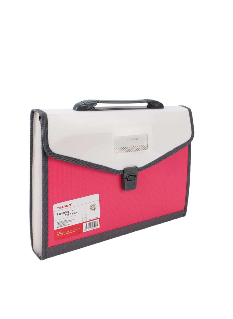 Expanding File Folder with 13 Section Pockets, FC Size - pzsku/ZEADC5C356DB7090775C3Z/45/_/1728743602/6d1d558e-b1d3-457c-be8d-ab0921e1db44