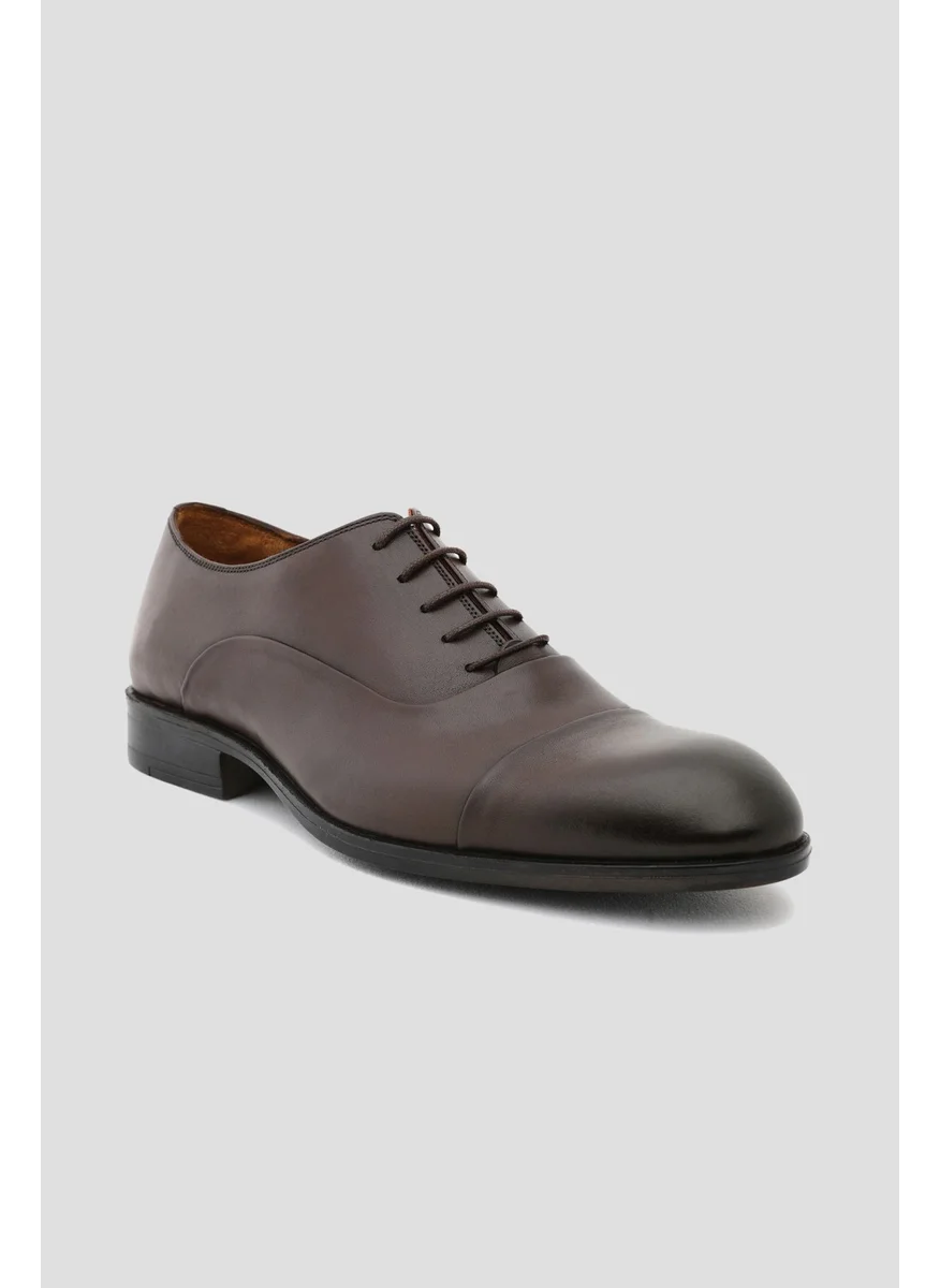D'S DAMAT D'S Groom Brown Classic Leather Shoes