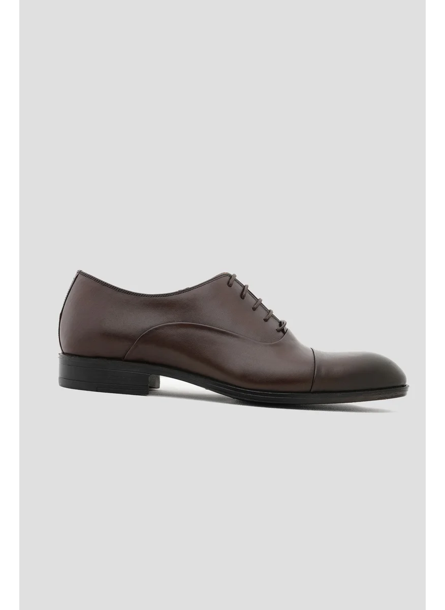 D'S DAMAT D'S Groom Brown Classic Leather Shoes