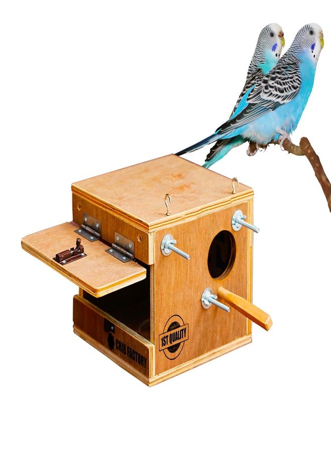 CRIB FACTORY | Wooden BREEDING Box for African Love Birds, Love Birds | 8x8x9 Inch - Image 1