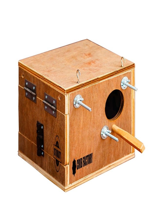 CRIB FACTORY | Wooden BREEDING Box for African Love Birds, Love Birds | 8x8x9 Inch - Image 5
