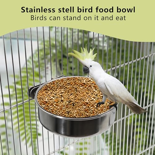 DVHEY Large Bird Feeding Dish Cups,Parrot Food Bowl Cage with Clamp Holder Stainless Steel,Birdcage Coop Water Feeder for Cockatiel Parakeet Macaw Finches Lovebirds Small Dog Cat Animal(1 Pack, Large) - Image 4