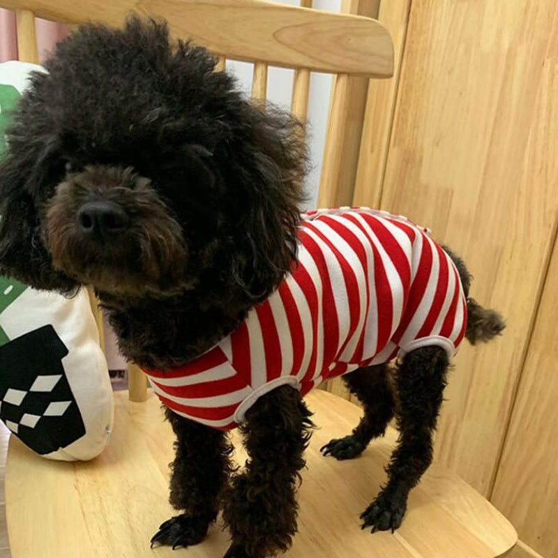 Dog Anti- Costume Dog Sterilization Clothes Pet Recovery Suit after - Image 3