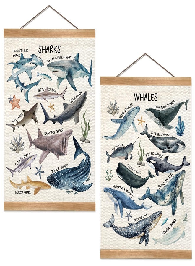 ZTGDA Sharks and Whales Posters, Sea Animals Shark Posters Wall Art,Marine Sharks Decor,Ocean Educational Poster for Kid Classroom Decorations Kids Room Home Nursery Playroom, Set of 2(Shark -1) - Image 1