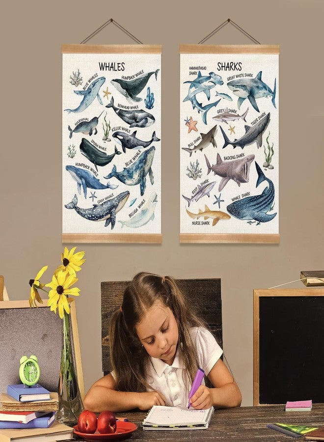 ZTGDA Sharks and Whales Posters, Sea Animals Shark Posters Wall Art,Marine Sharks Decor,Ocean Educational Poster for Kid Classroom Decorations Kids Room Home Nursery Playroom, Set of 2(Shark -1) - Image 5