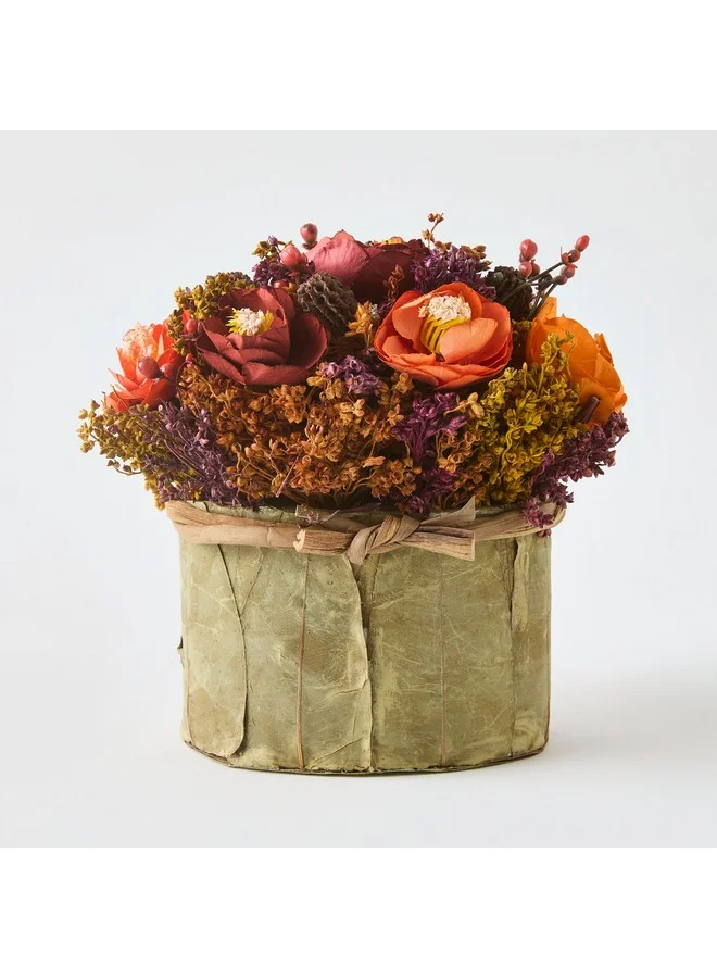Home Box Caven Mix Ranunculus Arrangement in Oval Shape Planter 17 x 12.5 x 17 cm