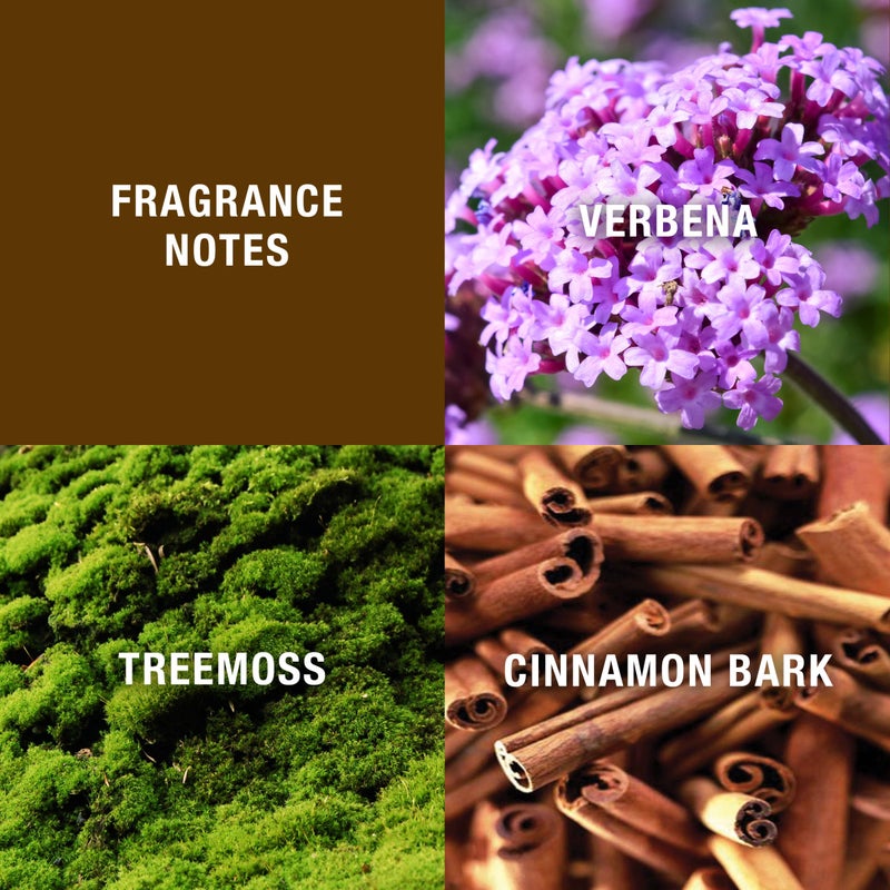 HALSTON عطر هالستون للرجال، بخاخ عطر، Z-14 من هالستون، رائحة لجميع المناسبات، 4.2 أونصة سائلة - Image 2