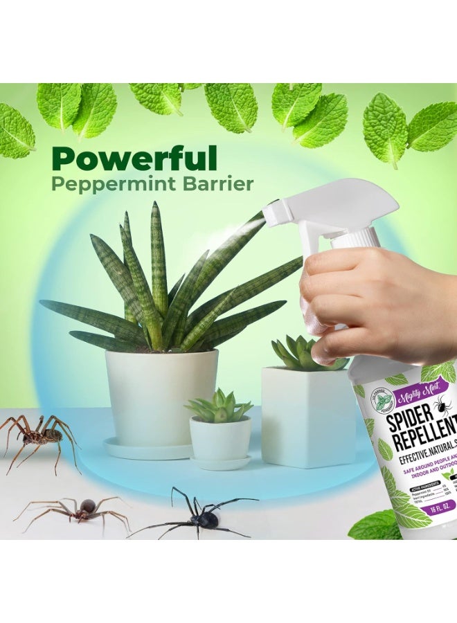 Mighty Mint - 16oz Spider Repellent Peppermint Oil - Natural Spray for Spiders and Insects - Killer + Deterrent - Image 2