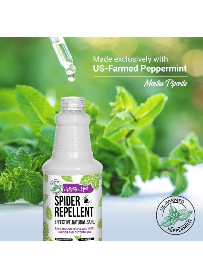Mighty Mint - 16oz Spider Repellent Peppermint Oil - Natural Spray for Spiders and Insects - Killer + Deterrent - Image 4
