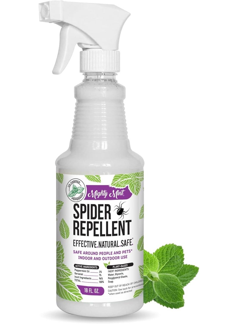 Mighty Mint - 16oz Spider Repellent Peppermint Oil - Natural Spray for Spiders and Insects - Killer + Deterrent - Image 1