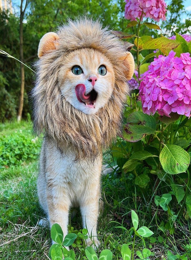 PenVinoo Lion Mane Wig for Cat, Funny Pet Cat & Puppy Costumes for Halloween & Christmas, Funny Pet Clothing Accessories (Medium, Dark Brown) - Image 2