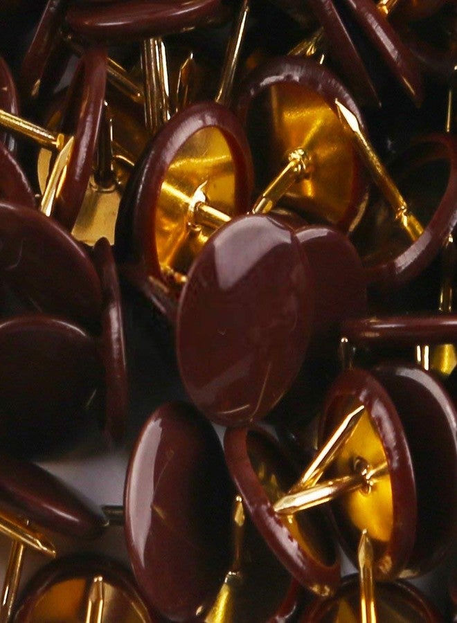 أورنيركس دبابيس أورنركس المسطحة للزينة، دبابيس تثبيت للفلين، لون بني، 200 قطعة - Image 2