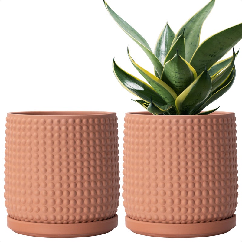 D'vine Dev Set of 2 Ceramic Plants Pots, 6 Inch Beaded Stoneware Flower Pot for Plants with Drainage Hole and Saucer, Terracotta, 27-E-X-7 - Image 1