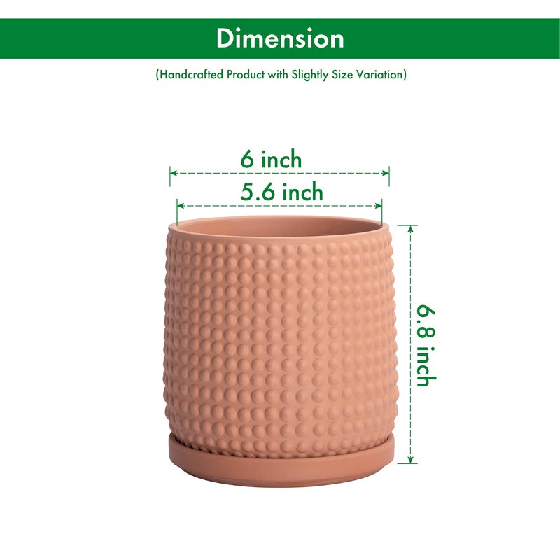 D'vine Dev Set of 2 Ceramic Plants Pots, 6 Inch Beaded Stoneware Flower Pot for Plants with Drainage Hole and Saucer, Terracotta, 27-E-X-7 - Image 2