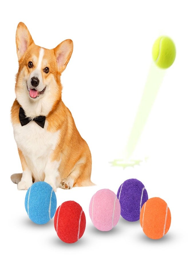 ZIYIZE Mini Tennis Balls, 6 Pack 2 inch Dog Tennis Balls, Easy Catching Pet Playing Ball for 2 inch Dog Ball Launcher Colour - Image 1