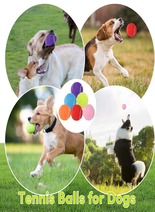 ZIYIZE Mini Tennis Balls, 6 Pack 2 inch Dog Tennis Balls, Easy Catching Pet Playing Ball for 2 inch Dog Ball Launcher Colour - Image 5