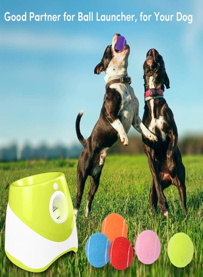 ZIYIZE Mini Tennis Balls, 6 Pack 2 inch Dog Tennis Balls, Easy Catching Pet Playing Ball for 2 inch Dog Ball Launcher Colour - Image 3