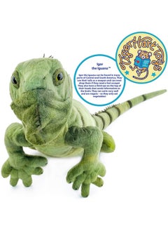 فياهارت إيغور الإغوانا - حيوان محشو على شكل سحلية بطول 26 بوصة - من إنتاج شركة Tigerhart Toys  - Image 3