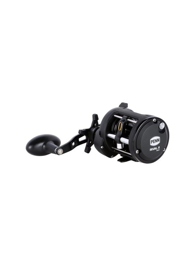 PENN Rival II Level Wind Conventional Fishing Reel - Image 2