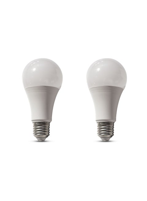 LED Lamps - White Light