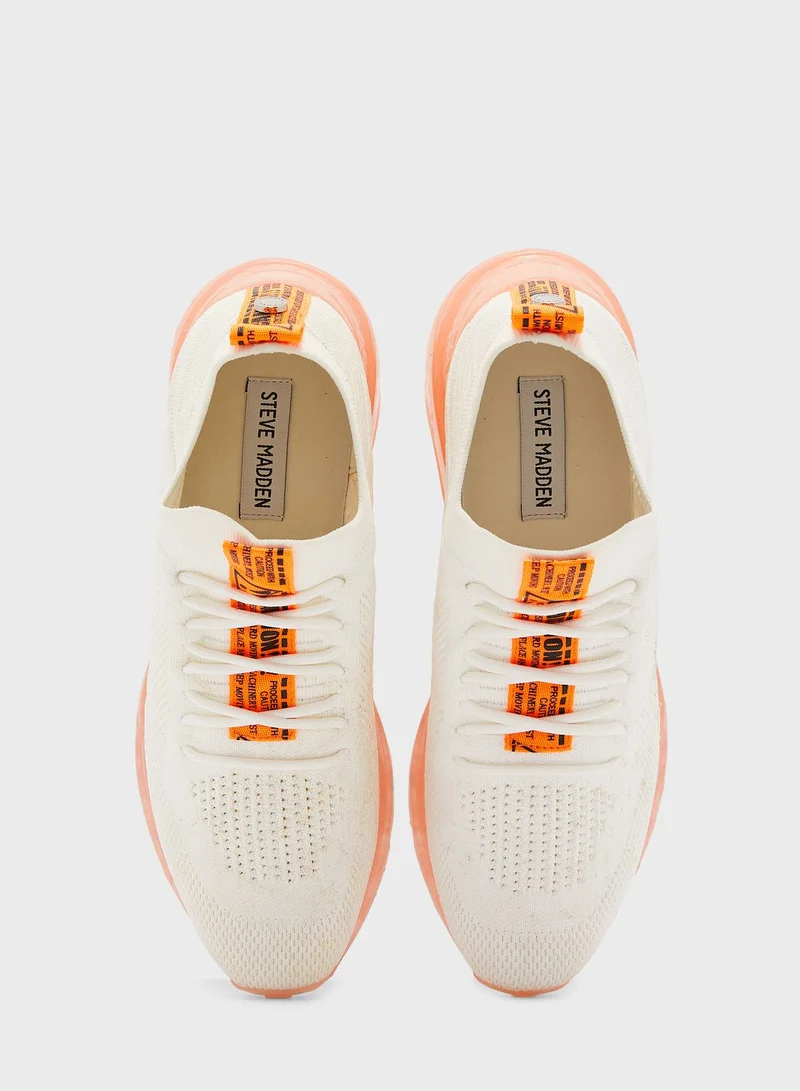 STEVE MADDEN Cello Low Top Sneakers