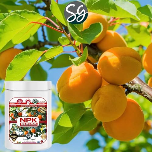 Sansar Green Npk 12:61:00 Granule Fertilizer For Plants. (900 Gm) - Image 4