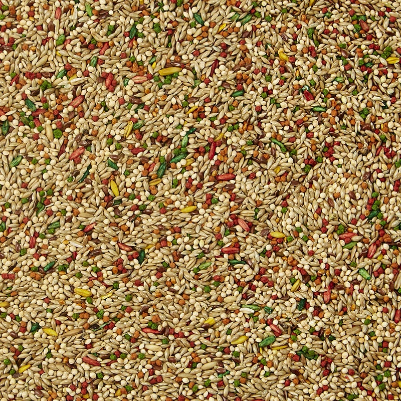 Kaytee Forti-Diet Pro Health Nourish+Protect Parakeet Food, Comprehensive Nutrition Backed by Science, Digestive Health, Immune Support, 2 pounds - Image 3