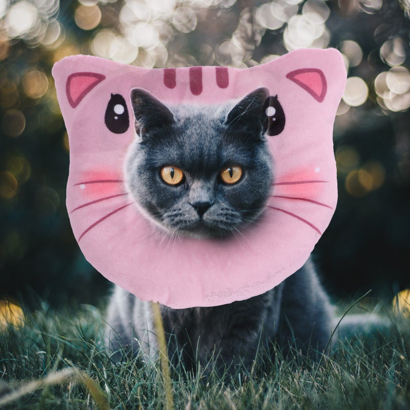 2pcs Cat Recovery Collar Adjustable Neck Cone Recovery Collar After - Image 3