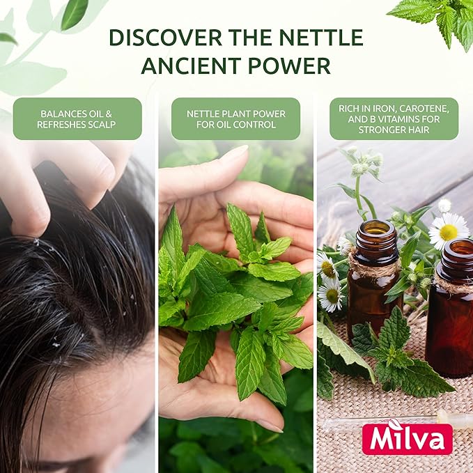 Milva Nettle Shampoo for Oily Hair 500 ml Natural Balancing Shampoo for Greasy Hair and Roots Degrease Treatment for Oily Scalp Cleansing Control Sebum Oil Reducing Add Volume and Shine - Image 5