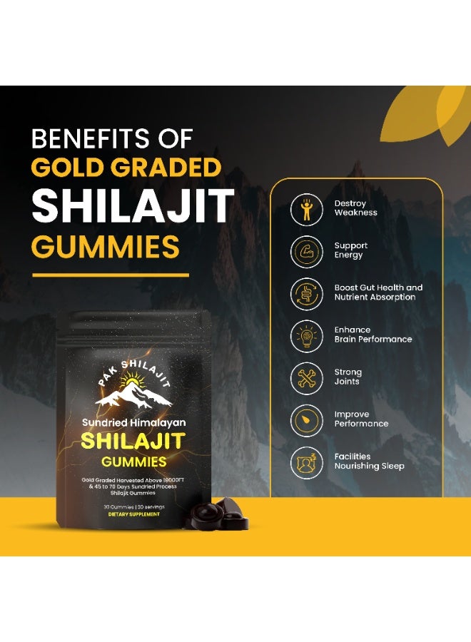 PakShilajit باك شيلاجيت علكة شيلاجيت الهيمالايا النقية | علكات شيلاجيت حاصلة على تصنيف ذهبي وتم اختبارها معمليًا | 85 بلس معادن طبيعية | 30 قطعة - Image 5