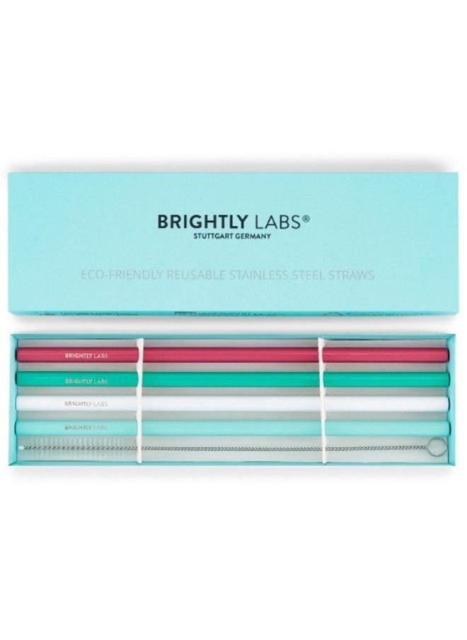 BRIGHTLY LABS Set of 4 Stainless Steel Reusable Metal Drinking Straws with Cleaning Brush Alternative for Plastic Straws, Ideal for Daily Use, Travel, and Parties. Reduce Waste, Enjoy Refreshing Beverages.  - Image 4