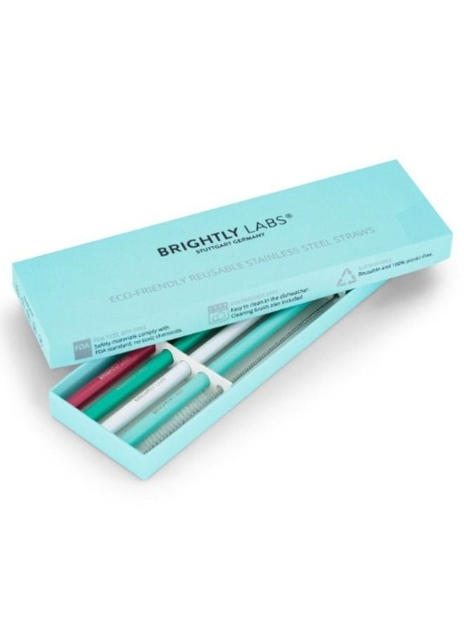BRIGHTLY LABS Set of 4 Stainless Steel Reusable Metal Drinking Straws with Cleaning Brush Alternative for Plastic Straws, Ideal for Daily Use, Travel, and Parties. Reduce Waste, Enjoy Refreshing Beverages.  - Image 5