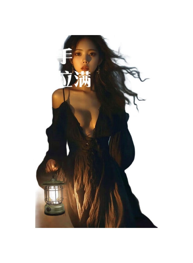 SHENYU Camping Light, Outdoor Rechargeable Lantern, Tent Light, Hanging Light, Horse Light, Power Outage Home Lighting, Long-Lasting Battery Life - Image 2