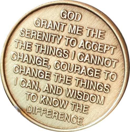 RecoveryChip 5 Year Blue Butterfly Medallion One Day at A Time Sobriety Chip - Image 2