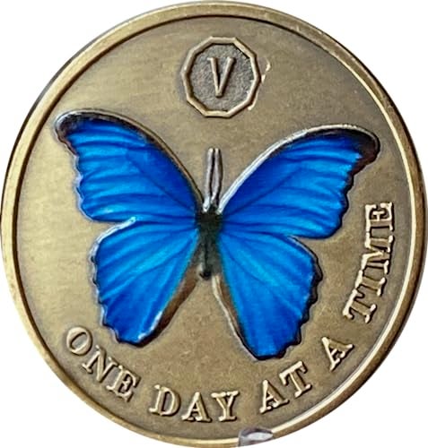 RecoveryChip 5 Year Blue Butterfly Medallion One Day at A Time Sobriety Chip - Image 3