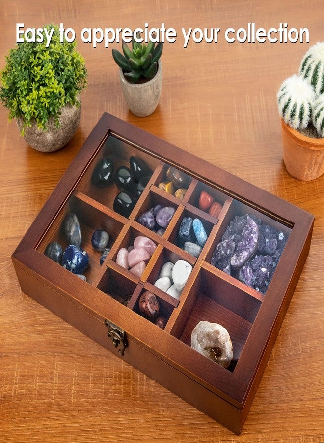 Mooncraftlogy Adjustable Rock Display Case, Crystal Collection Box with Shelves, Wood Witchy Stones Organizer Storage,Gem Holder with Lid for Seashell, Collectibles, Wiccan Gift (Brown) - Image 5
