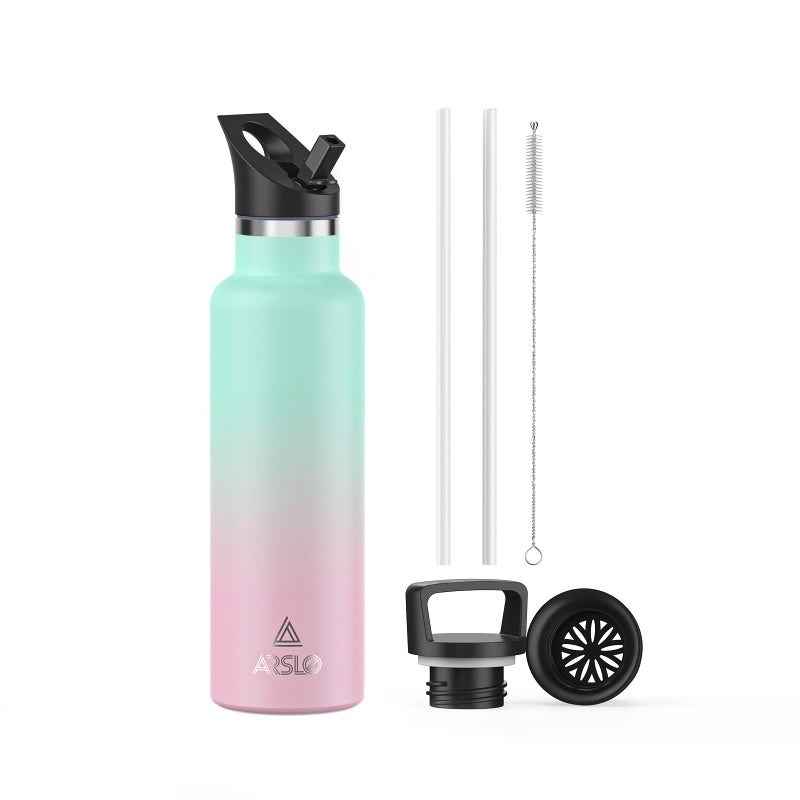 Stainless Steel Water Bottle with Straw Insulated Water Bottle for Sports Gym School Commute AdultsKids Keep Cold for up to 24 Hours SweatLeakproof 2 Lids BPA Free