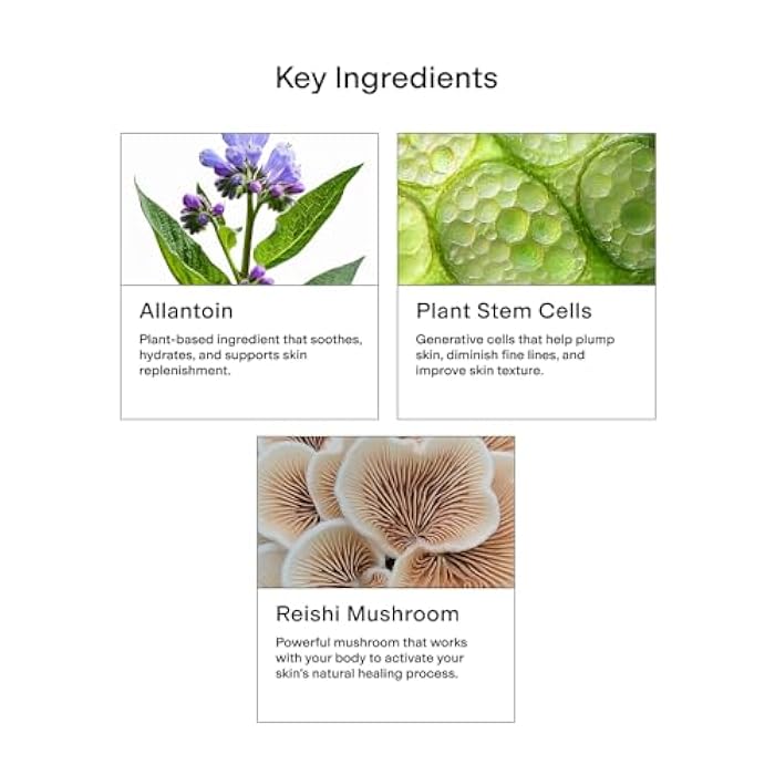 CLEARSTEM - CELLRENEW - Collagen Stem Cell Serum - Acne + Youthful Skin Face Serum - Hyaluronic Acid, Reishi, Aloe Vera - Facial Skin Care Products - Gluten Free, Cruelty Free - 1 fl oz / 29ml - Image 4