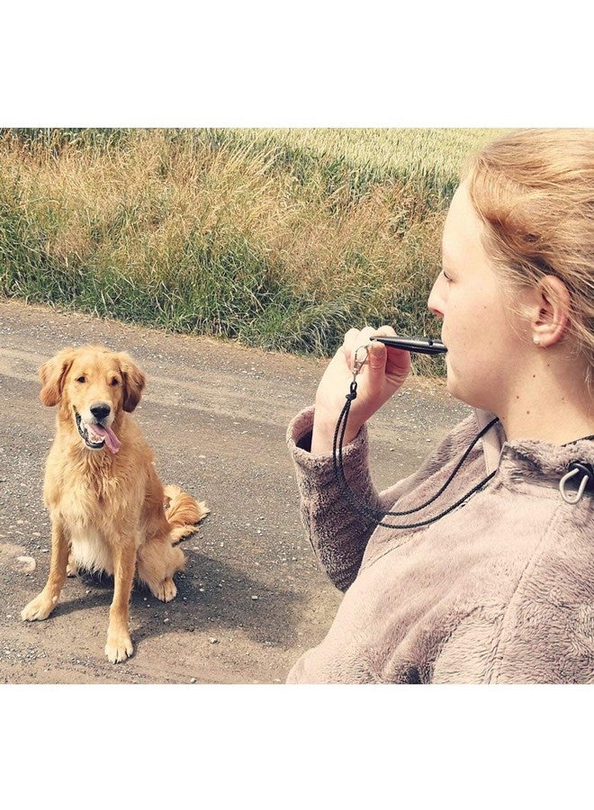 ACME The Dog Training Whistle Number 211.5 Medium High Pitch, Single Note | Good Sound Quality, Weather-Proof Whistles | Designed and Made in The UK (Carmine Red) - Image 4