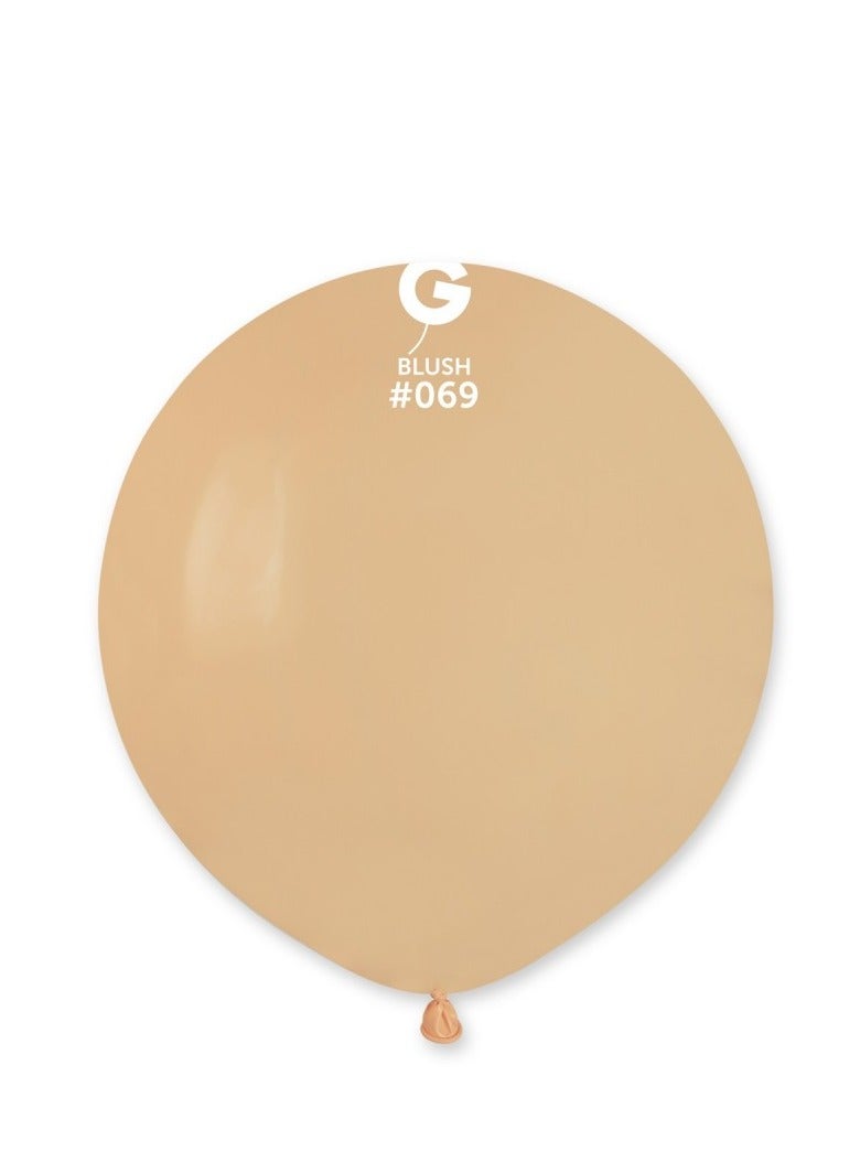 Gemar 19" Standard Blush Latex Balloon 10Ct - Image 1