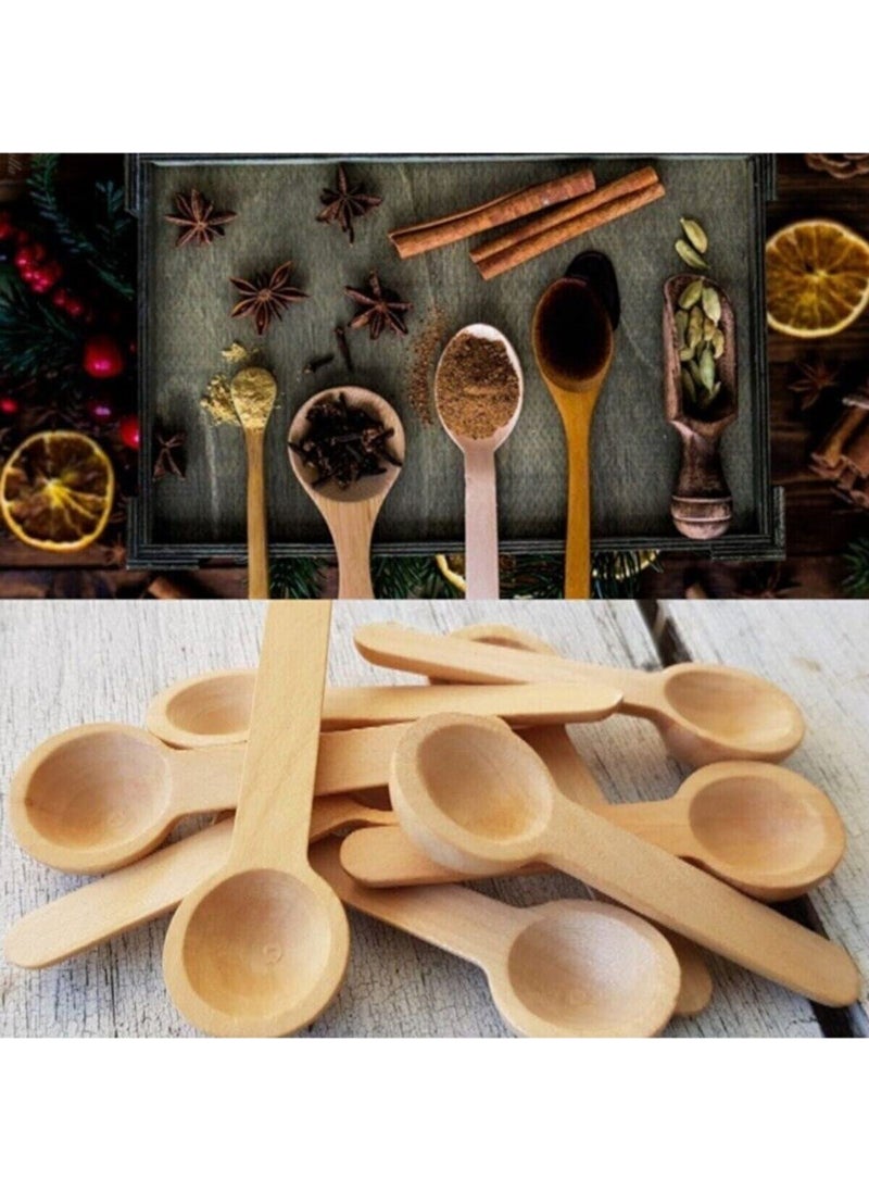 Fbz Home 6 Mini Spice Spoons 