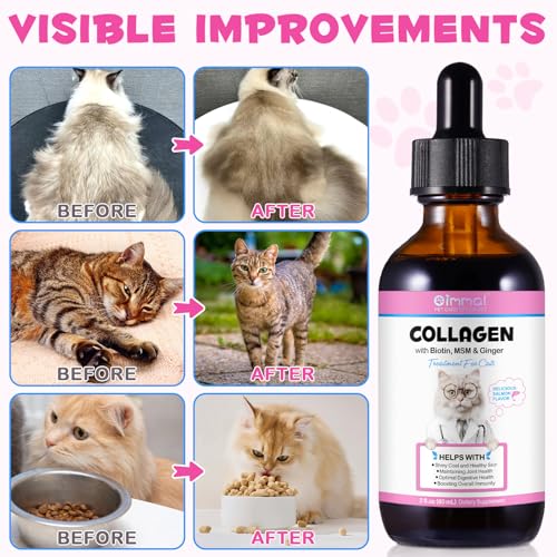 VOSIFSDIY Collagen for Cats, Cat Collagen Liquid Drops for Cats with Biotin, MSM & Ginger Digestive & Immunity Support, Itch Relief, Skin & Coat and Joint Health, Cat Supplement 60ml ﻿ - Image 3