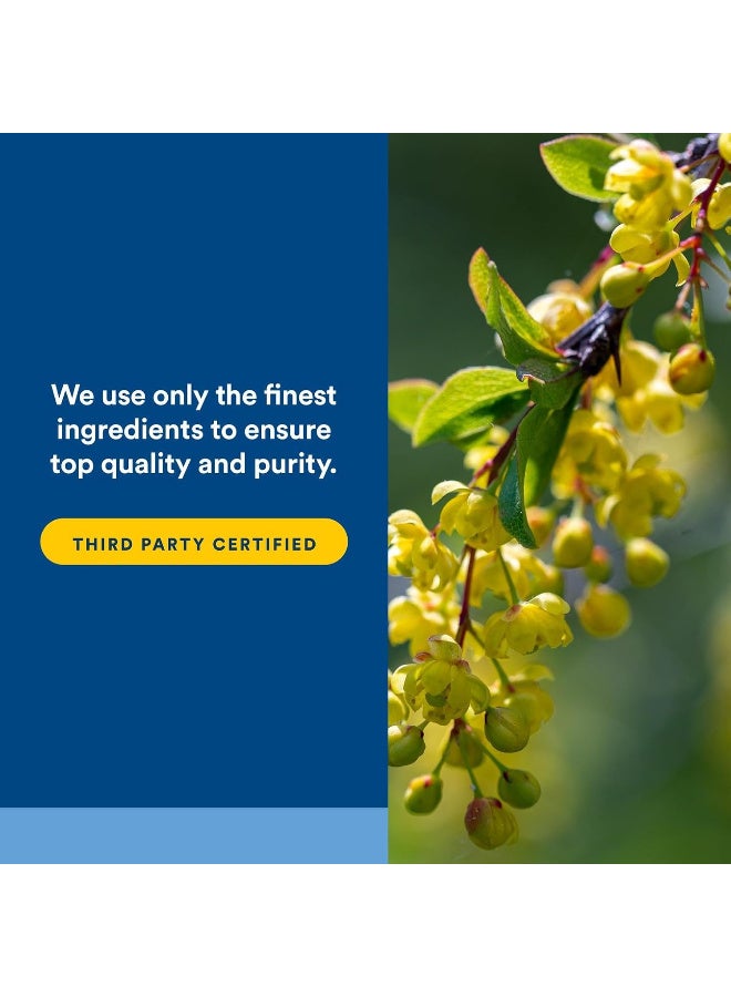 WellBetX Berberine Dietary Supplement Capsules 120'S