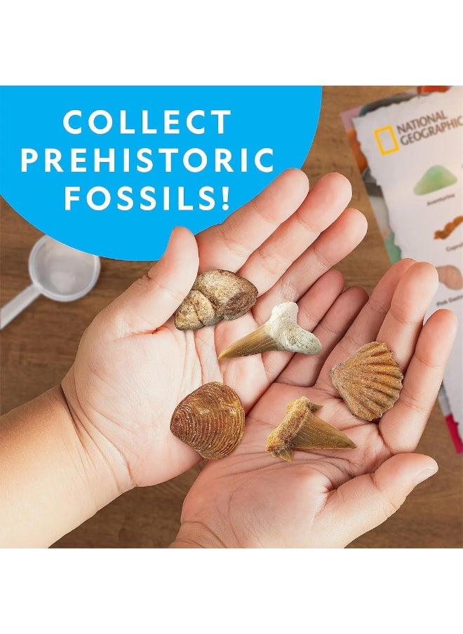Rocks And Fossils Kit 300+ Piece Set Gift For Kids  - Image 3