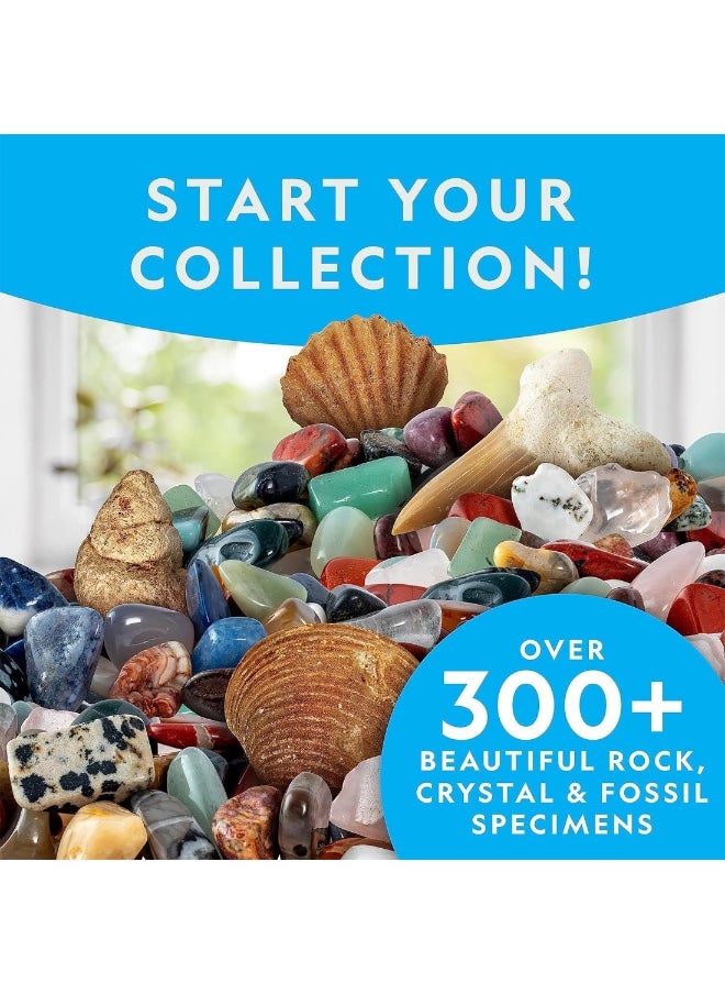 Rocks And Fossils Kit 300+ Piece Set Gift For Kids  - Image 2