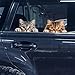 Quilax 2Pcs Cute Peeking Sneaky Cat Car Sticker Funny Cat Car Bumper Sticker 118 6 in Vinyl Decal for CarsWindowsLaptops Motorcycle Wall - Image 2